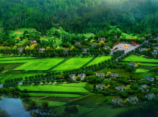 一品小院鄉(xiāng)村美墅