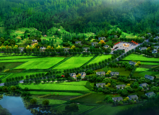 一品小院鄉(xiāng)村美墅