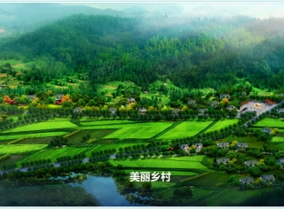 美麗鄉(xiāng)村-01